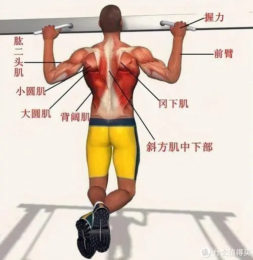 物联网scuiot是什么接入点 物联网scuiot是什么接入点